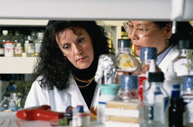 chemical lab
			
			 for 